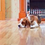 How to Prevent and Fix Curving in Hardwood Timber Flooring