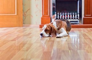 How to Prevent and Fix Curving in Hardwood Timber Flooring